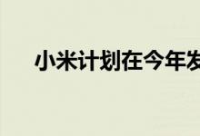 小米计划在今年发布三款高级平板电脑