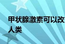 甲状腺激素可以改变斑马鱼的色觉 可能改变人类