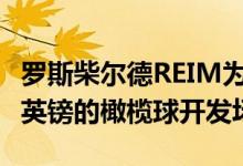 罗斯柴尔德REIM为英国PRS基金获得4300万英镑的橄榄球开发场地