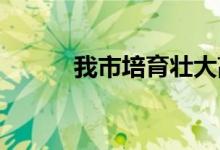 我市培育壮大高新技术企业纪实