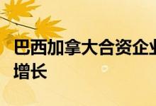 巴西加拿大合资企业通过收购可再生能源实现增长