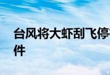 台风将大虾刮飞停在车窗上 开始以为是小挂件