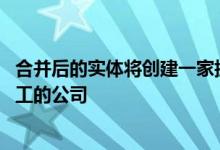 合并后的实体将创建一家拥有2亿美元收入和全球1,000名员工的公司