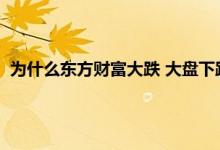 为什么东方财富大跌 大盘下跌原因查明 下周即将大变盘的股市