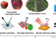基于SERS的农业应用传感器综述