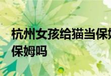 杭州女孩给猫当保姆月薪6000元 网友：还请保姆吗