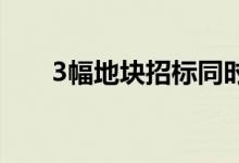 3幅地块招标同时截至 24方人马争抢