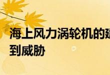 海上风力涡轮机的建设可能会使海豹的听力受到威胁