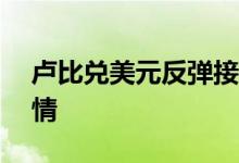 卢比兑美元反弹接近68水平 要知道的4件事情