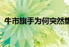 牛市旗手为何突然集体跳水？这是什么意思