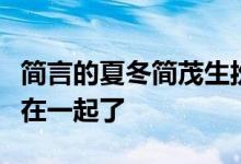 简言的夏冬简茂生扮演者是谁？最后夏冬和谁在一起了