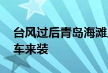 台风过后青岛海滩上尽是海鲜 有人开车三轮车来装