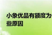 小象优品有额度为什么审核不通过 原来是这些原因