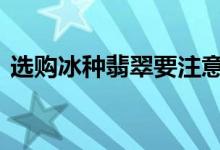 选购冰种翡翠要注意什么 这几点要了解清楚