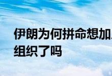 伊朗为何拼命想加入上合 美国申请加入上合组织了吗