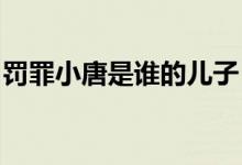 罚罪小唐是谁的儿子？大结局公布大王是谁吗