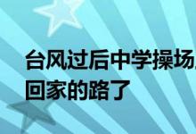 台风过后中学操场上游来一条鱼 迷路找不到回家的路了