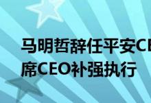 马明哲辞任平安CEO仍是董事长姚波出任联席CEO补强执行