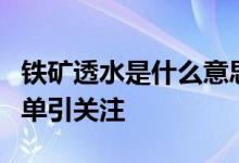 铁矿透水是什么意思？迁西桃树峪铁矿老板名单引关注