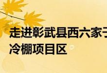 走进彰武县西六家子乡西六家子村示范带建设冷棚项目区