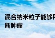 混合纳米粒子能够用于通过磁谐振层析方法诊断肿瘤