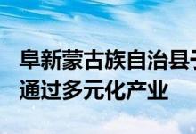 阜新蒙古族自治县于寺镇官营子220户贫困户通过多元化产业