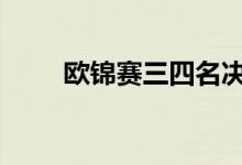 欧锦赛三四名决赛 施罗德赛后采访