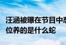 汪涵被曝在节目中怼嘉宾事件怎么回事？是哪位养的是什么蛇