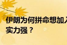 伊朗为何拼命想加入上合？上合和北约对比谁实力强？