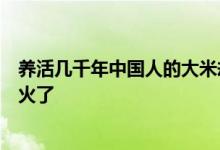 养活几千年中国人的大米却被说成没营养？医生第一个就恼火了