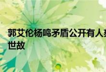 郭艾伦杨鸣矛盾公开有人刻意挑拨加深误会 杨鸣也不懂人情世故