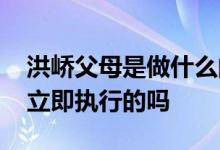 洪峤父母是做什么的很有钱的吗 洪峤死刑是立即执行的吗