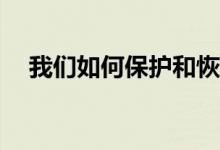 我们如何保护和恢复基于计算机的艺术？