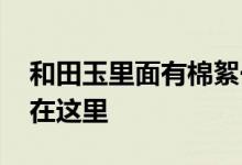 和田玉里面有棉絮一样的东西是好玉吗 答案在这里