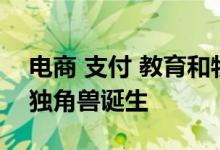 电商 支付 教育和物流领域 会分别有5-10个独角兽诞生