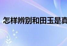 怎样辨别和田玉是真是假 从三个方面来分辨