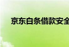 京东白条借款安全吗 可以提前还全款吗