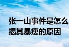 张一山事件是怎么回事 张一山总资产多少亿揭其暴瘦的原因