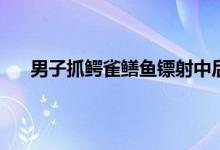 男子抓鳄雀鳝鱼镖射中后奋力挣扎 鳄雀鳝捕捉犯法吗