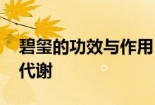 碧玺的功效与作用 不但美容养颜还促进人体代谢