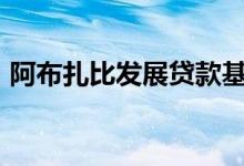 阿布扎比发展贷款基金价值超过5000万美元