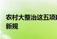 农村大整治这五项建筑统统拆除 来看2022年新规