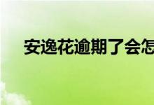 安逸花逾期了会怎么样 有这些严重后果