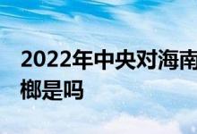 2022年中央对海南槟榔的政策 琼海停止收槟榔是吗