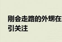 刚会走路的外甥在舅舅婚礼上送婚戒 出场费引关注