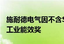 施耐德电气因不含SF6的中压开关设备而获得工业能效奖