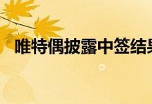 唯特偶披露中签结果 中签号码共1.42万个