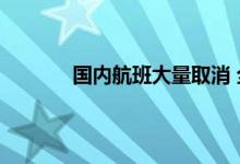 国内航班大量取消 全国航班大面积取消原因