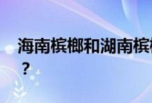 海南槟榔和湖南槟榔的区别 哪个危害大一些？