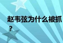 赵韦弦为什么被抓 他什么家庭背景父母是谁？